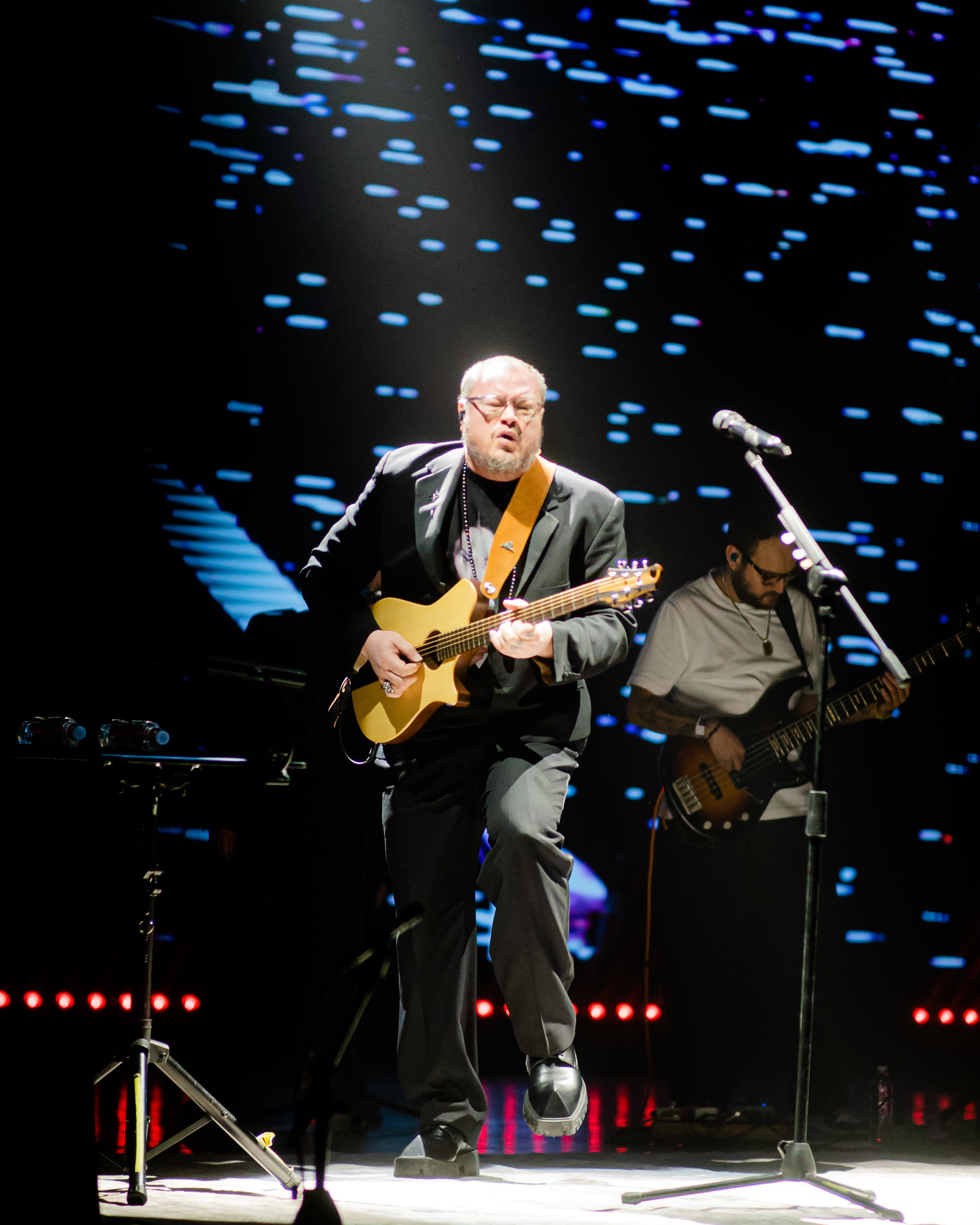 Artista en concierto